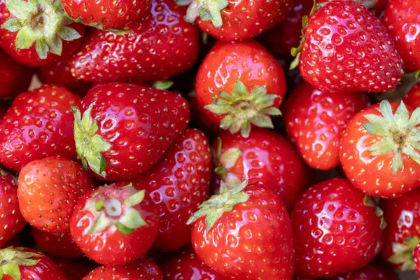 Olgun Kırmızı Çilekler Doğal Doku Arkaplanı