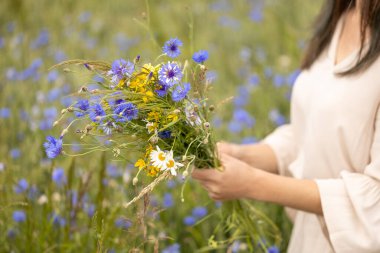 Doğal şifa için yabani bitkisel buket