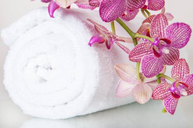 Yuvarlanmış beyaz havluyla taze orkide çiçekleri.