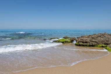 Dalgalar, güneşli bir sahil sahilinde berrak turkuaz suyla alglerle kaplı kayalara çarpıyor.