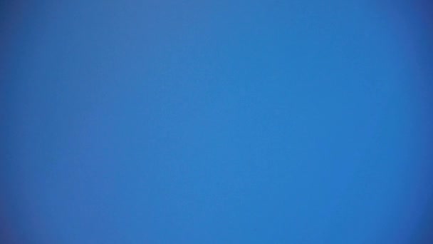 Φως Και Αλλαγή Χρώματος Διακριτικά Κινείται Μπλε Φόντο Κοβάλτιο Αποχρώσεις — Αρχείο Βίντεο