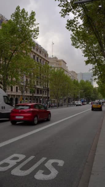 Barcelona España Octubre 2022 Coches Conduciendo Por Famosa Calle Passeig — Vídeos de Stock