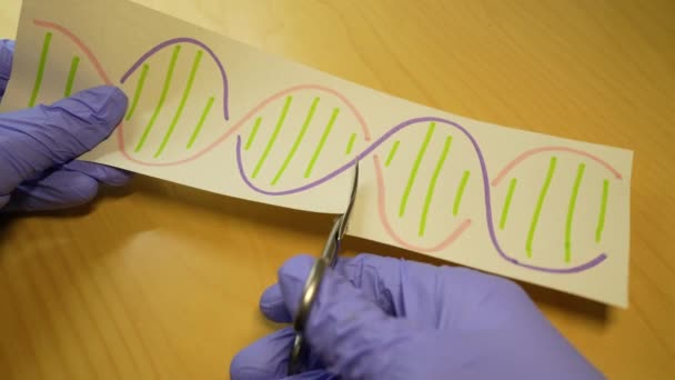 Hand Sutting Part Dna Molecule Genetic Engineering Gene Manipulation Concept — Video