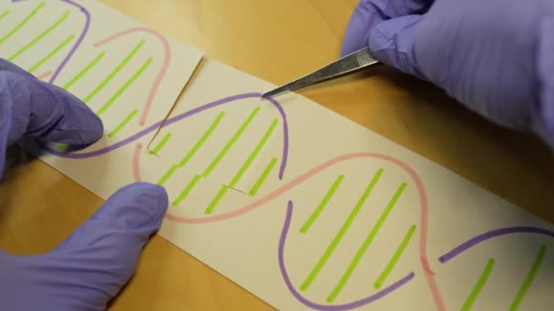 Hand Replacing Part Dna Molecule Genetic Engineering Gene Manipulation Concept — Video