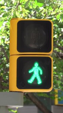 Pedestrian traffic light changing from green to red. Vertical video