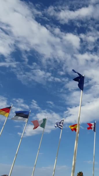 Bandeira União Europeia Bandeiras Dos Membros Segundo Plano Contra Céu — Vídeo de Stock
