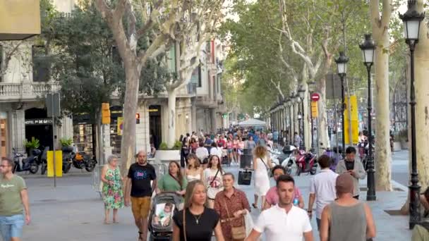 Barcelona España Agosto 2023 Personas Caminando Por Famosa Calle Comercial — Vídeos de Stock
