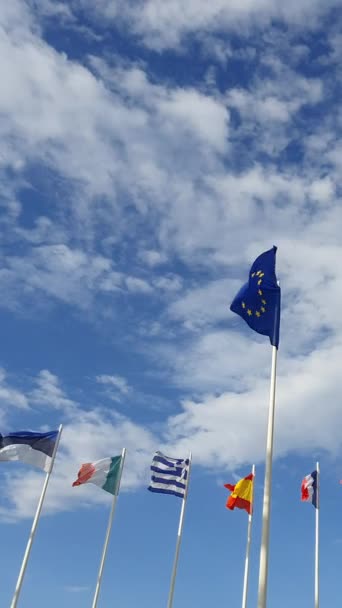 曇り空を背景に欧州連合 とEu加盟国の旗が掲揚されている 垂直ビデオ — ストック動画
