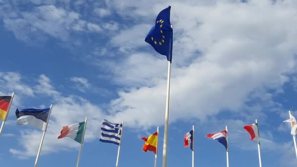 Vlajka Evropské Unie Jejích Členských Vlajek Pozadí Zatažené Oblohy — Stock video