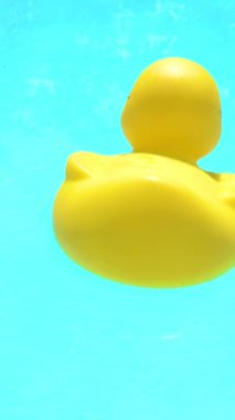 Havuzda yüzen sarı plastik ördek. Dikey görüntüler
