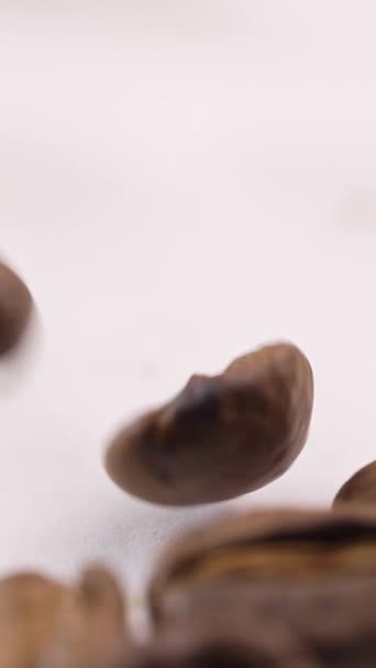 ローストしたコーヒー豆をゆっくり動かす 白い背景にローストコーヒー豆のマクロビュー バーティカルビデオ — ストック動画