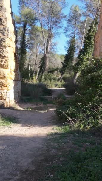 Римский Акведук Pont Del Diable Таррагоне Испания Археологический Ансамбль Таррако — стоковое видео
