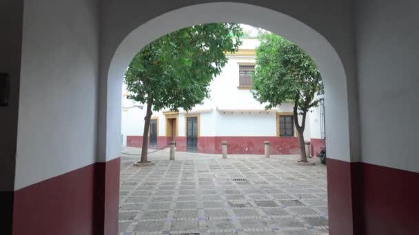 Spanya Endülüs Teki Sevilla Nın Santa Cruz Semtinde Dar Sokakları — Stok video