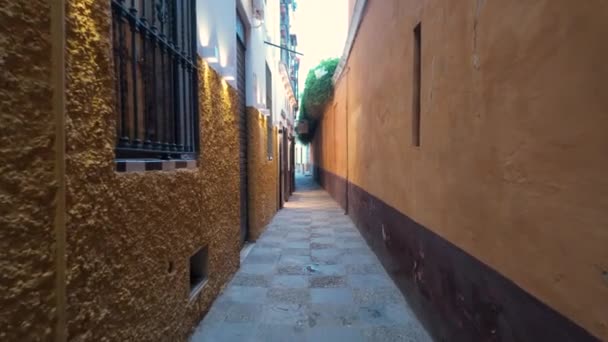 スペインのアンダルシアのセビリアのジュデリアまたはユダヤ人の四半期としても知られているサンタクルスの狭い通りを歩く — ストック動画