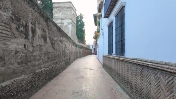 Santa Cruz Dar Sokaklarında Yürüyen Bir Turist Spanya Nın Endülüs — Stok video