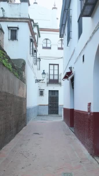スペインのアンダルシアのセビリアのジュデリアまたはユダヤ人の四半期としても知られているサンタクルスの狭い通りを歩きます バーティカルビデオ — ストック動画