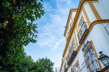 Santa Cruz mahallesi, Endülüs, İspanya 'da Juderia ya da Sevilla' nın Yahudi mahallesi olarak da bilinir..