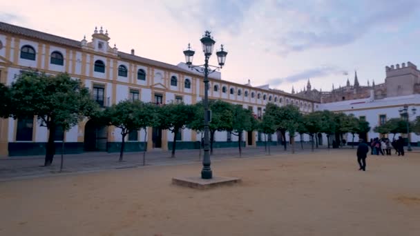 Widok Dziedziniec Patio Banderas Sewilli Hiszpania Przestronny Plac Drzewami Pomarańczowymi — Wideo stockowe