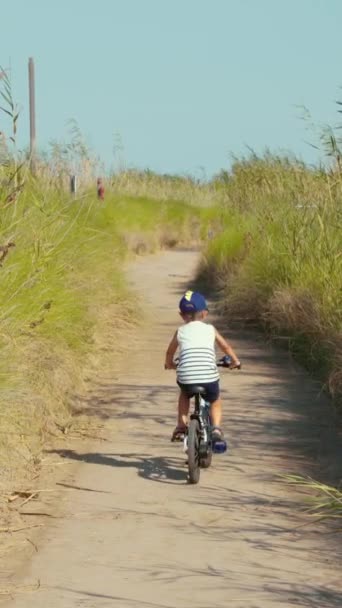 在西班牙的德尔塔德尔埃布罗 孩子们骑自行车在布满芦苇的乡间路上 垂直录像 — 图库视频影像