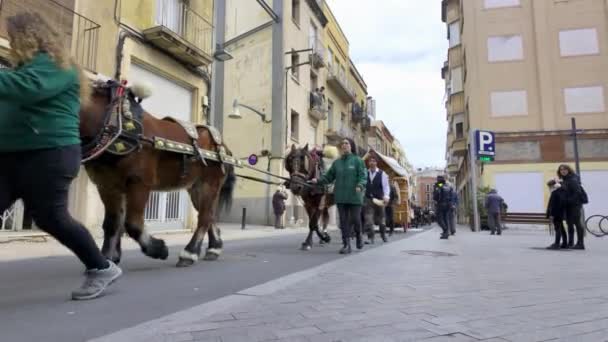 Reus 西班牙 2024年3月 在西班牙加泰罗尼亚市的Reus举行马车游行 这次游行是圣安东尼奥尼 阿巴节 Sant Antoni Abat Festival — 图库视频影像