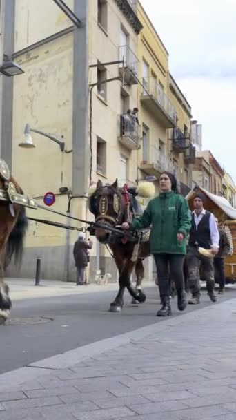 Ρέους Ισπανία Μάρτιος 2024 Παρέλαση Άλογα Στο Ρέους Μια Πόλη — Αρχείο Βίντεο