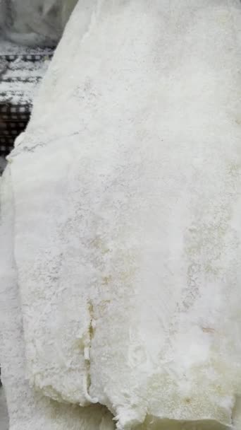 Património Culinário Estilo Tradicional Preservação Bacalhau Exposição Apresenta Bacalhau Salgado — Vídeo de Stock