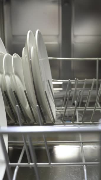 Loading Dishwasher Close View Vertical Footage — стокове відео