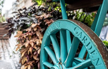 Bitkiler ve şehir manzarasıyla çevrili canlı bir deniz mavisi renginde klasik bir Covent Garden market arabasının ayrıntılı bir görüntüsü..