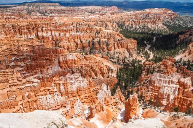 Bryce Canyon Ulusal Parkı manzarası. Eşsiz turuncu, beyaz kabadayılar ve yeşil çam ağaçları.