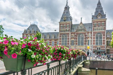 Pembe ve beyaz petunyalar arka planda rijksmuseum ile bir köprü dekore ediyorlar, Amsterdam, Hollanda