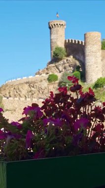 Pembe çiçekler Costa Bravo İspanya 'daki Tossa de mar' ın ikonik ortaçağ şatosunu çerçeveliyor. Zaman ayarlı görünüm