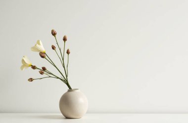 Basit seramik vazolarda seramik tomurcuklara sahip narin keten çiçekleri beyaz arkaplana karşı minimalist natüralist yaşam yaratarak geniş bir kopya alanı sunuyor.