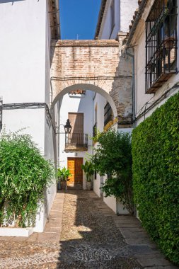 Beyazlatılmış duvarları, kaldırımları ve canlı yeşilliği olan geleneksel mimari Cordobas tarihi caddelerinde büyüleyici bir atmosfer yaratır.