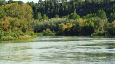 Ebro nehrinin sakin suları verimli bitki örtüsü ve ağaçların arasından akar. İspanya, Miravet 'te sakin bir doğal manzara yaratır.