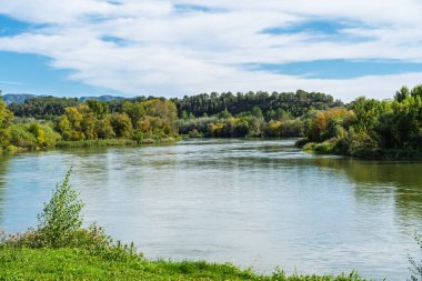 Ebro nehrinin sakin suları verimli bitki örtüsü ve ağaçların arasından akar. İspanya, Miravet 'te sakin bir doğal manzara yaratır.