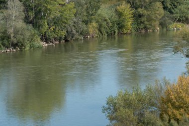 Ebro nehrinin sakin suları verimli bitki örtüsü ve ağaçların arasından akar. İspanya, Miravet 'te sakin bir doğal manzara yaratır.