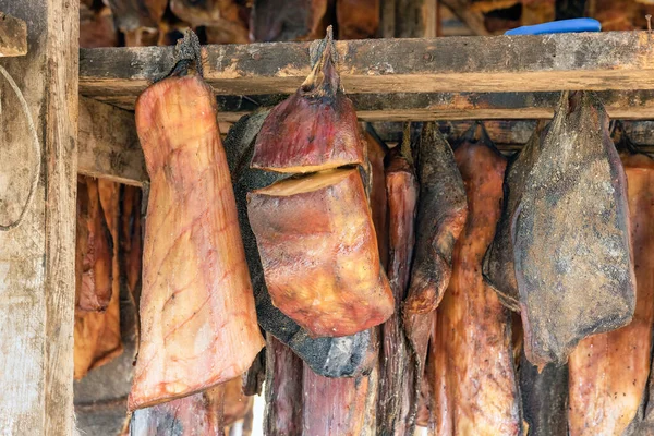 鲨鱼肉干燥和发酵 冰岛的传统食品 图库照片
