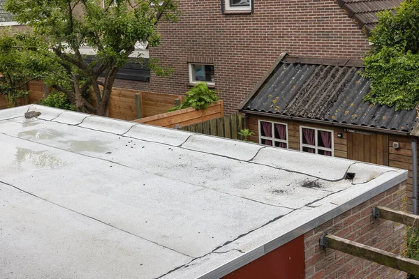Flat roof with new white roofing felt or bitumen