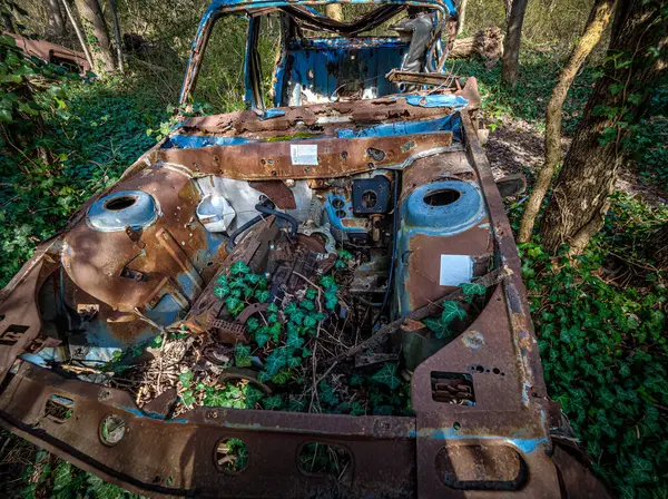 Visto Nos Restos Carro Naufrágio Enferrujado Abandonado Meio Floresta Poluição — Fotografia de Stock