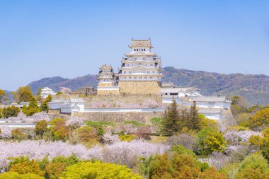 Japonya - 3 Nisan 2023: Himeji Şatosu, Himeji Şatosu, Hyogo Baharı 'nda bahçede Pembe Sakura Ağaçları ile çevrili Himeji Şatosu manzarası
