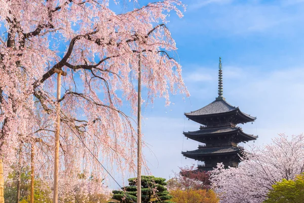 Giappone Aprile 2023 Antica Pagoda Del Tempio Toji Con Alberi — Foto Stock