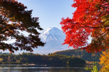 Fuji Dağı Yansıması ve Kızıl Akçaağaç Sonbaharda Sabah Buğusu, Kawaguchiko Gölü, Japonya