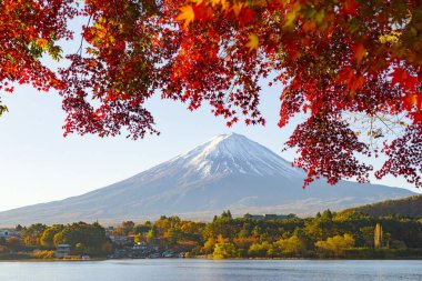 Fuji Dağı Yansıması ve Kızıl Akçaağaç Sonbaharda Sabah Buğusu, Kawaguchiko Gölü, Japonya