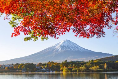 Fuji Dağı Yansıması ve Kızıl Akçaağaç Sonbaharda Sabah Buğusu, Kawaguchiko Gölü, Japonya