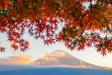Fuji Dağı Yansıması ve Kızıl Akçaağaç Sonbaharda Sabah Buğusu, Kawaguchiko Gölü, Japonya