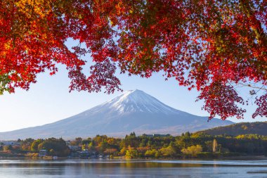 Fuji Dağı Yansıması ve Kızıl Akçaağaç Sonbaharda Sabah Buğusu, Kawaguchiko Gölü, Japonya