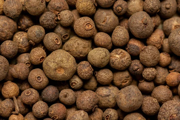 Close Brown Allspice Jamaica Pepper Grains Texture Whole Dried Pimento — Fotografia de Stock