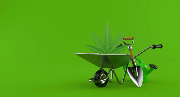 Cannabislöv Inne Skottkärra Isolerad Grön Bakgrund Illustration — Stockfoto