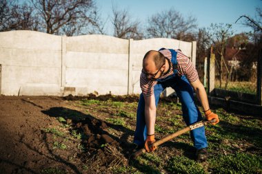 Bahçıvan bir kürekle bahçeyi kazıyor. Güzel bir bahar gününde bahçesinde çalışan bir adamın portresi..