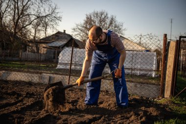 Bahçıvan bir kürekle bahçeyi kazıyor. Güzel bir bahar gününde bahçesinde çalışan bir adamın portresi..